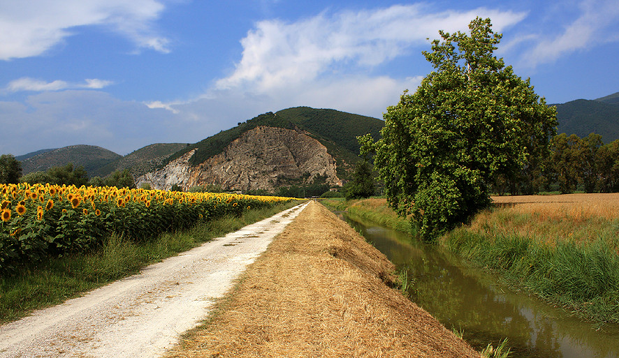 Passeggiando nel mio padule (Walking in my swamp)