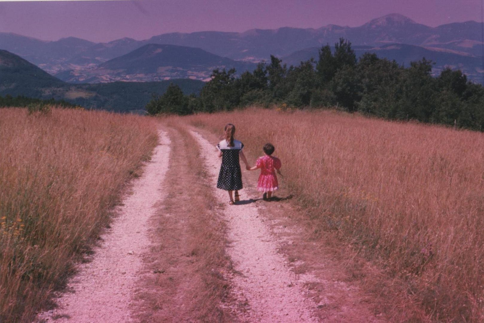 passeggiando nel monte