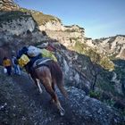 passeggiando nel sentiero degli dei