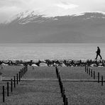 Passeggiando nel silenzio