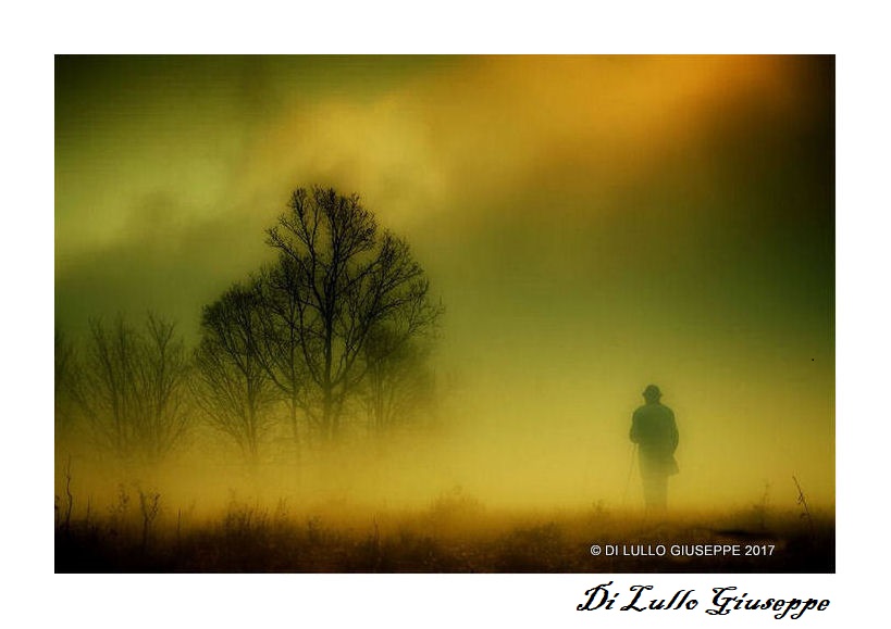 PASSEGGIANDO NELLA NEBBIA