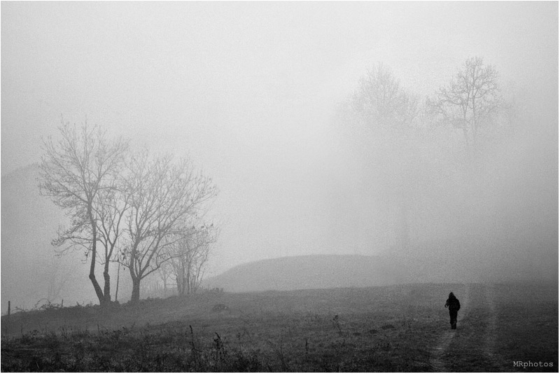 Passeggiando nella nebbia