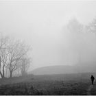 Passeggiando nella nebbia