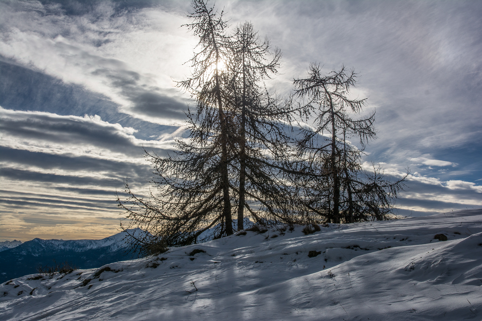 passeggiando nella neve...