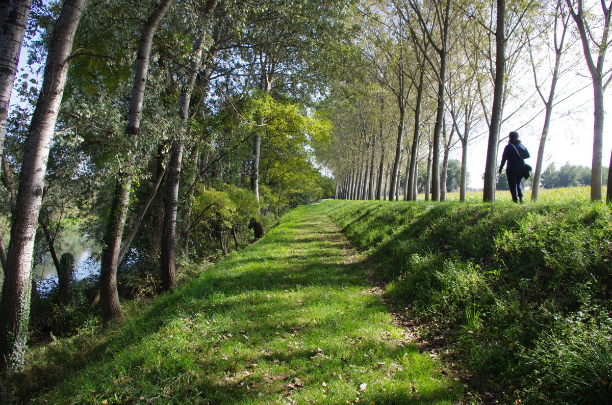 passeggiando per argini