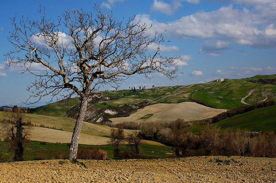 Passeggiando per paesaggi