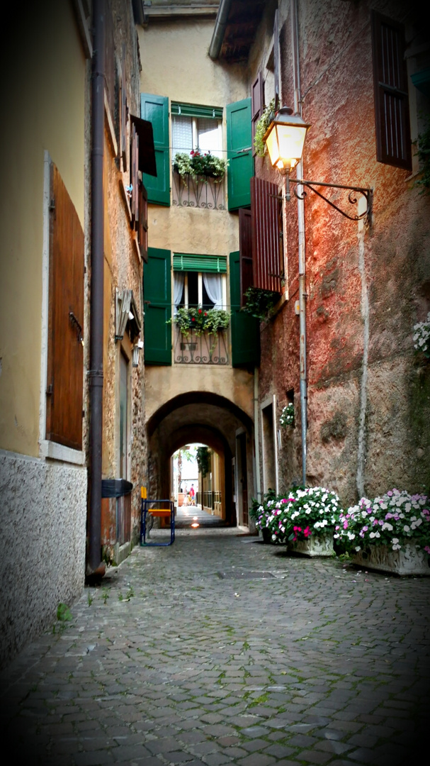 Passeggiando per Torri del Benaco