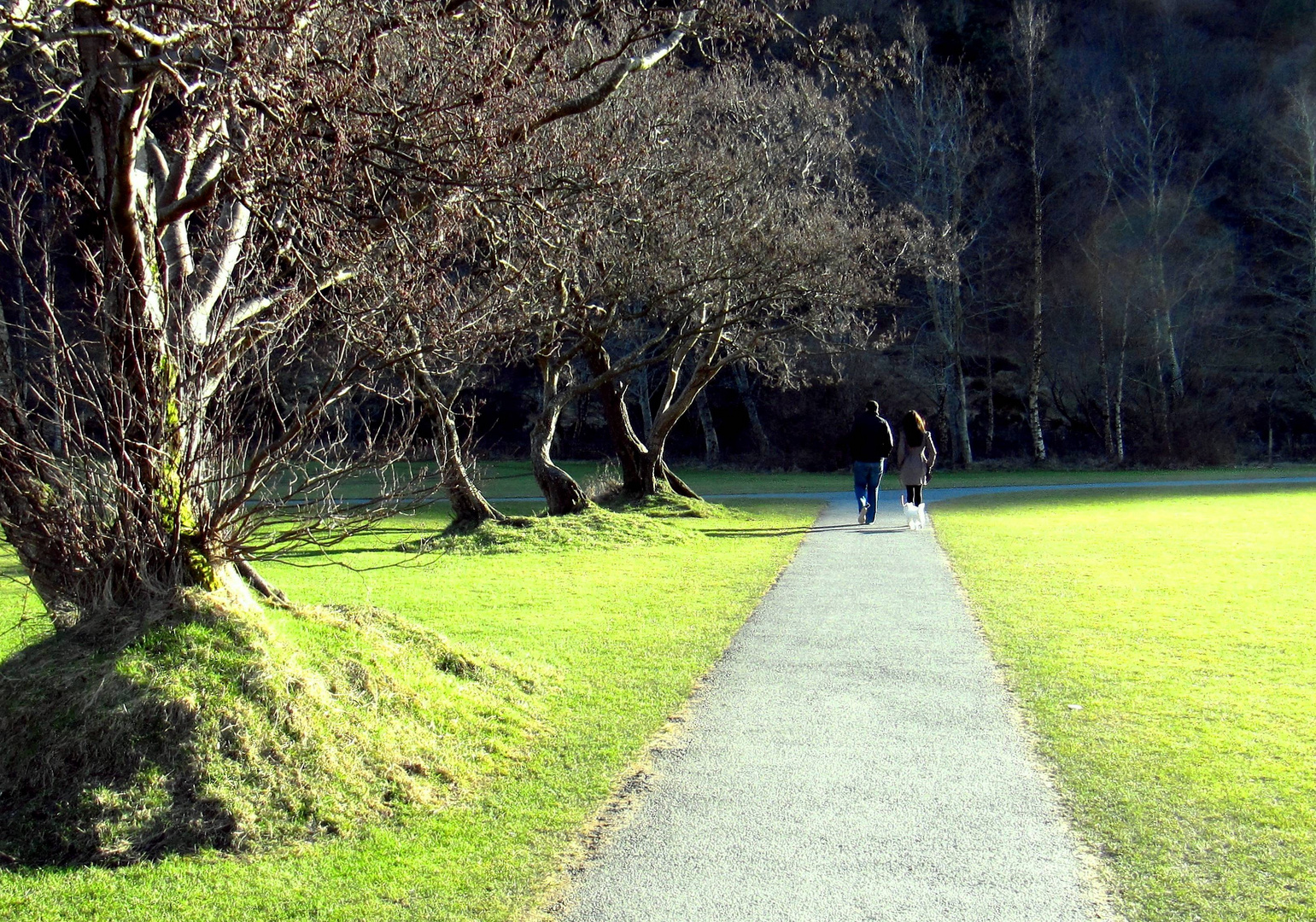 ...passeggiando sotto l'ultimo sole di una timida primavera