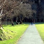 ...passeggiando sotto l'ultimo sole di una timida primavera