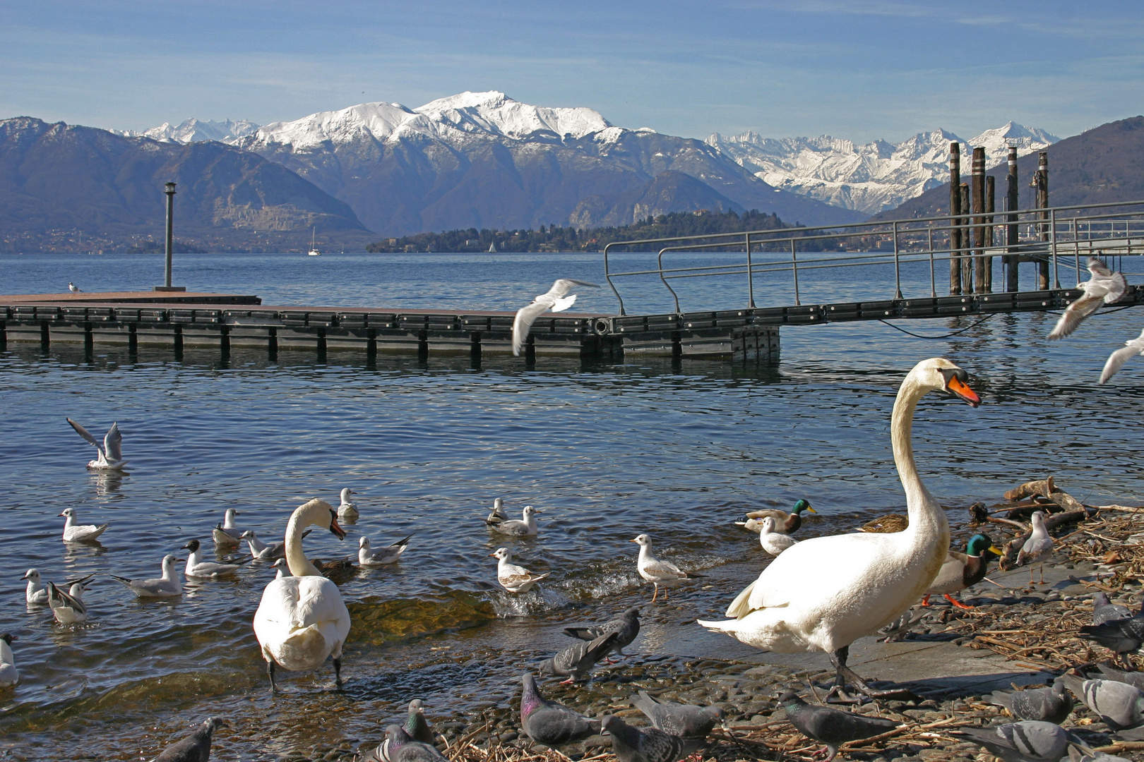 Passeggiando sul lago