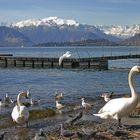 Passeggiando sul lago