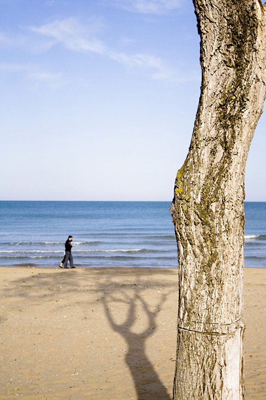 Passeggiando Sulla Spiaggia