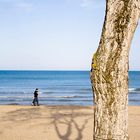 Passeggiando Sulla Spiaggia