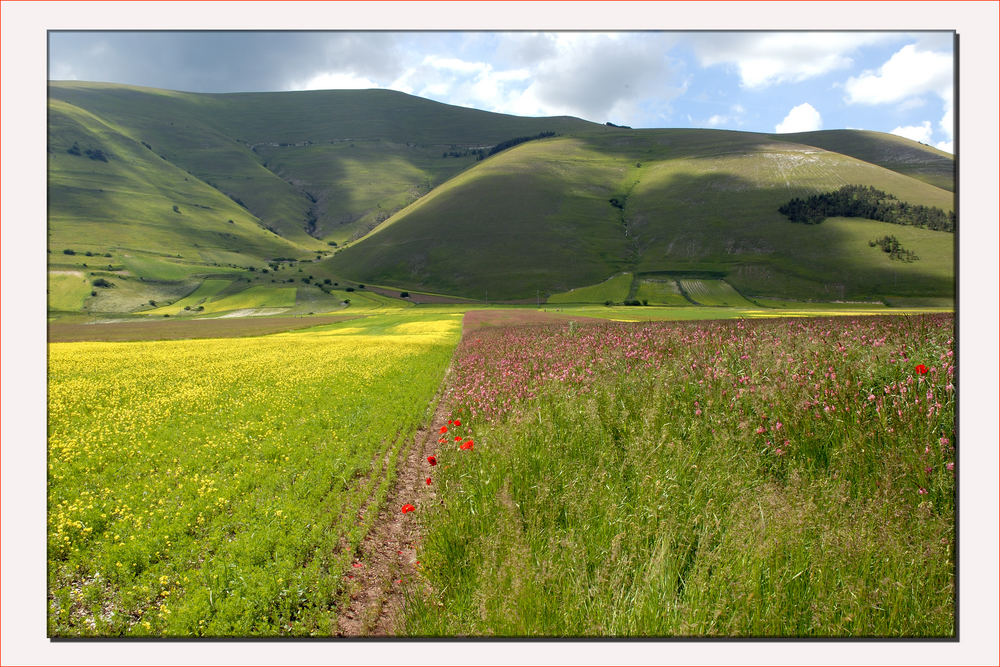 Passeggiando tra i colori