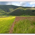 Passeggiando tra i colori