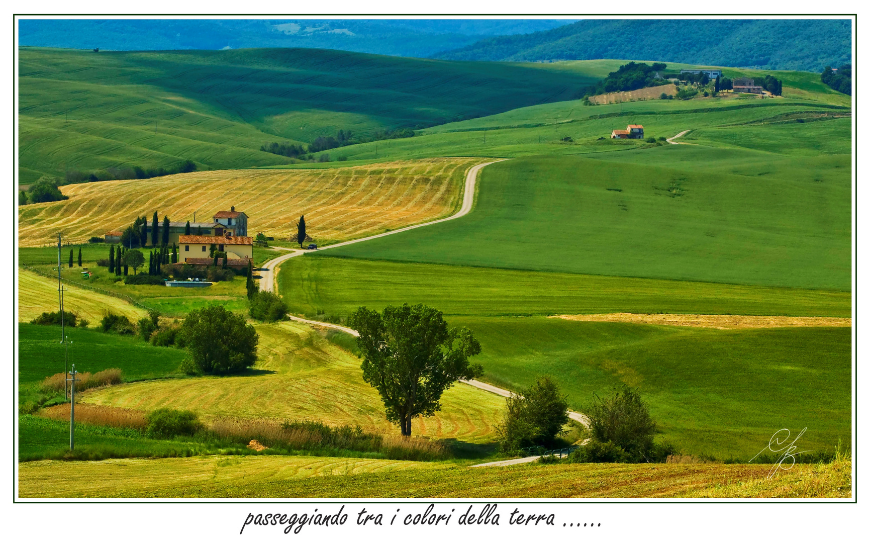 Passeggiando tra i colori della terra .....