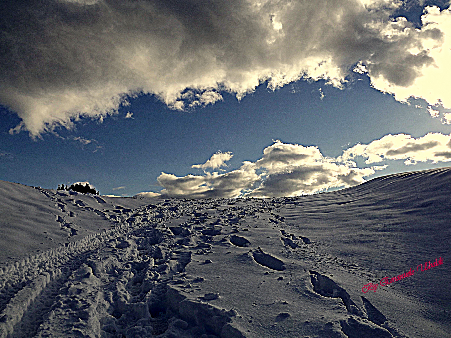 Passeggiando tra la neve