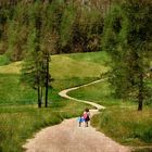 Passeggiando verso il futuro