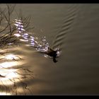 passeggiare al tramonto