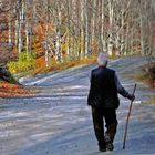 passeggiare nel bosco