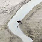 Passeggiata a cavallo a Mont Saint Michel