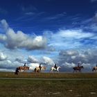 PASSEGGIATA A CAVALLO