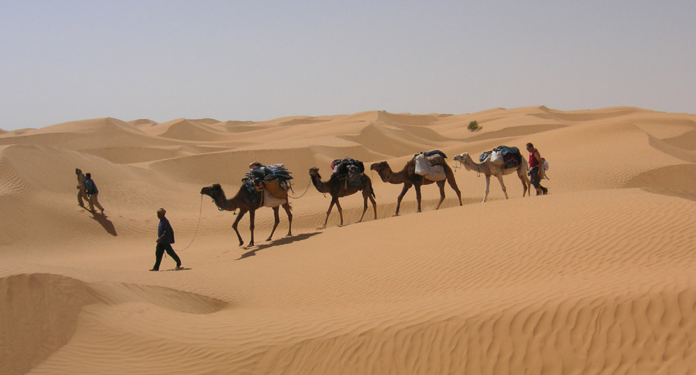 Passeggiata a Ksar Ghilane