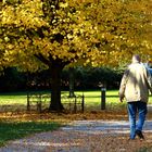 Passeggiata al parco con il cane