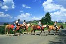 Passeggiata all'Alpe di Siusi von Alvaro Monnetti 