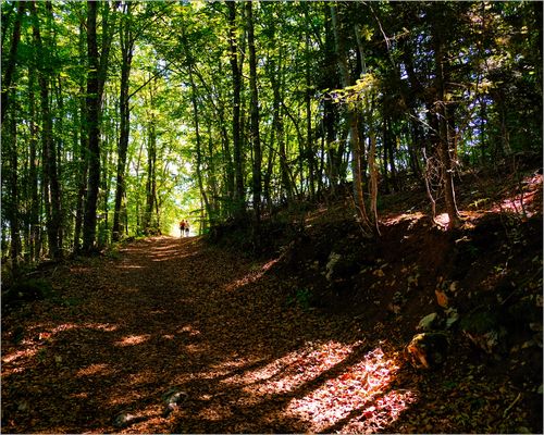 Passeggiata autunnale.
