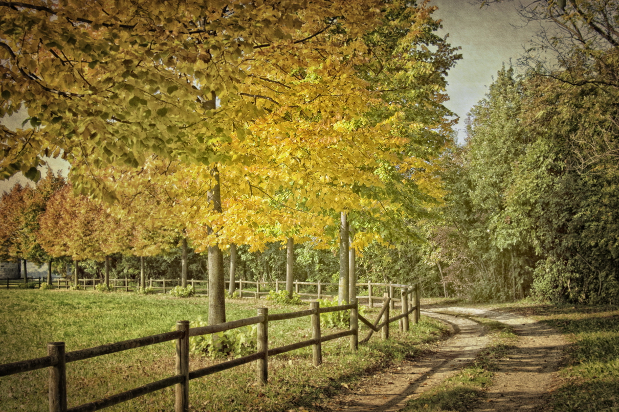 Passeggiata autunnale