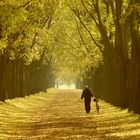 Passeggiata autunnale