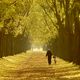 Passeggiata autunnale