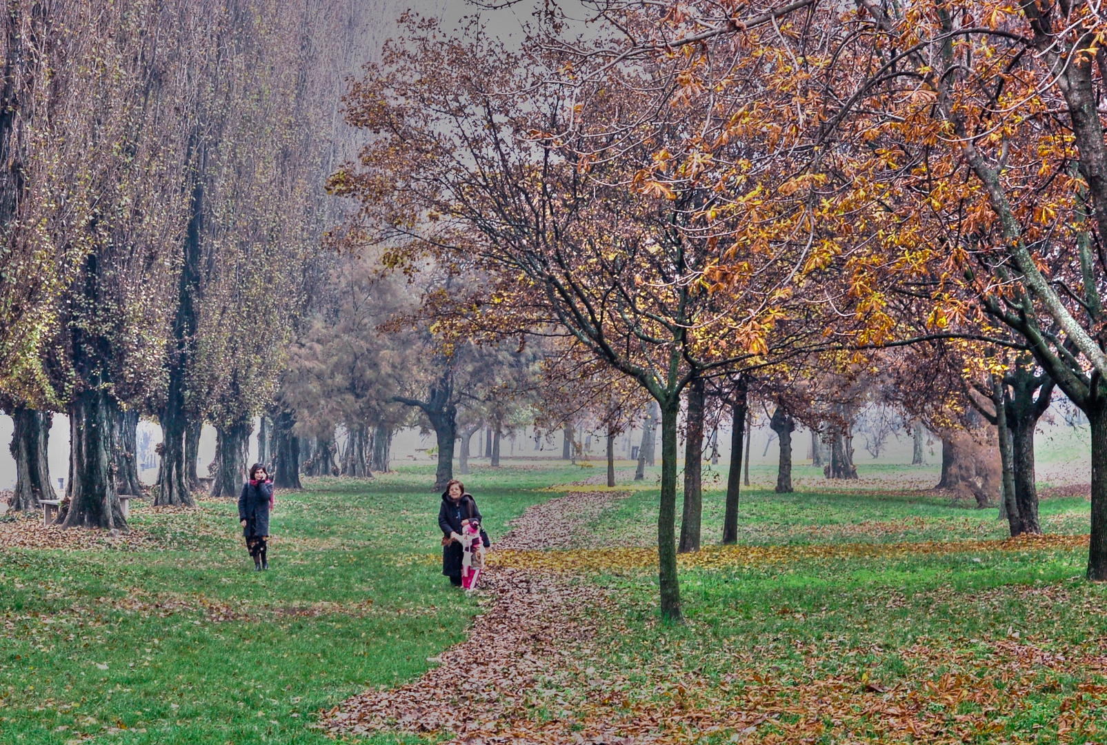 Passeggiata Autunnale