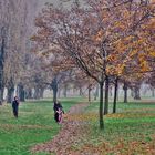 Passeggiata Autunnale