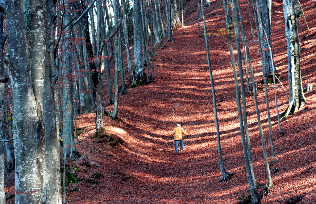 passeggiata d'autunno