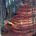 passeggiata d'autunno