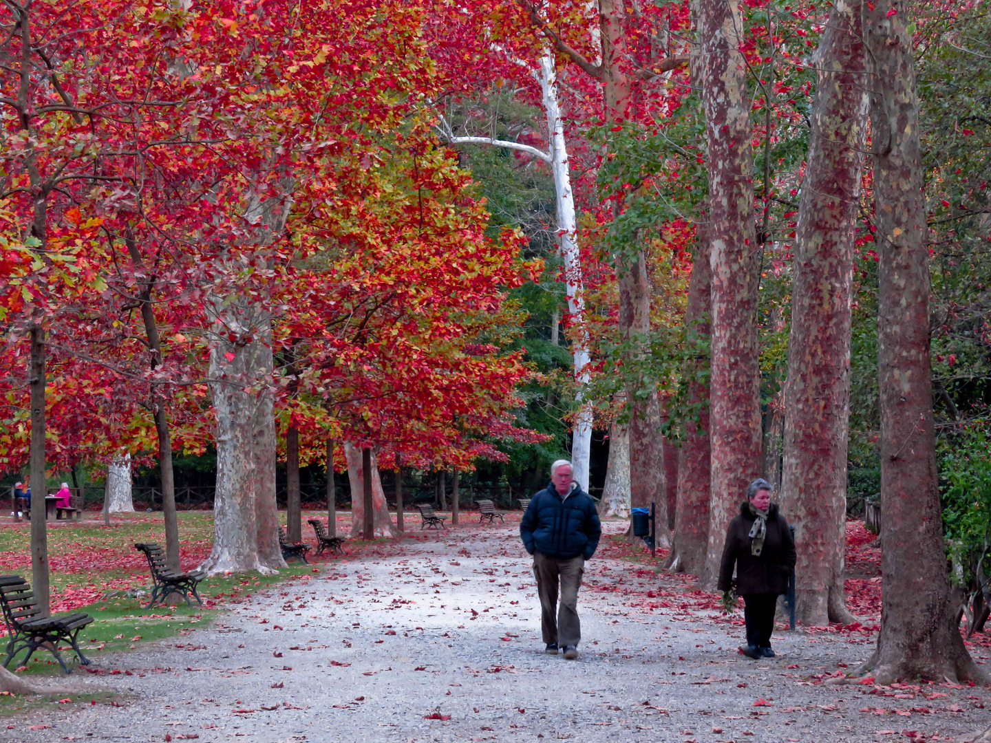 passeggiata d'autunno