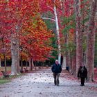 passeggiata d'autunno