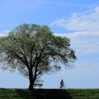 Passeggiata in bicicletta sull'Isonzo