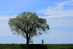 Passeggiata in bicicletta sull'Isonzo