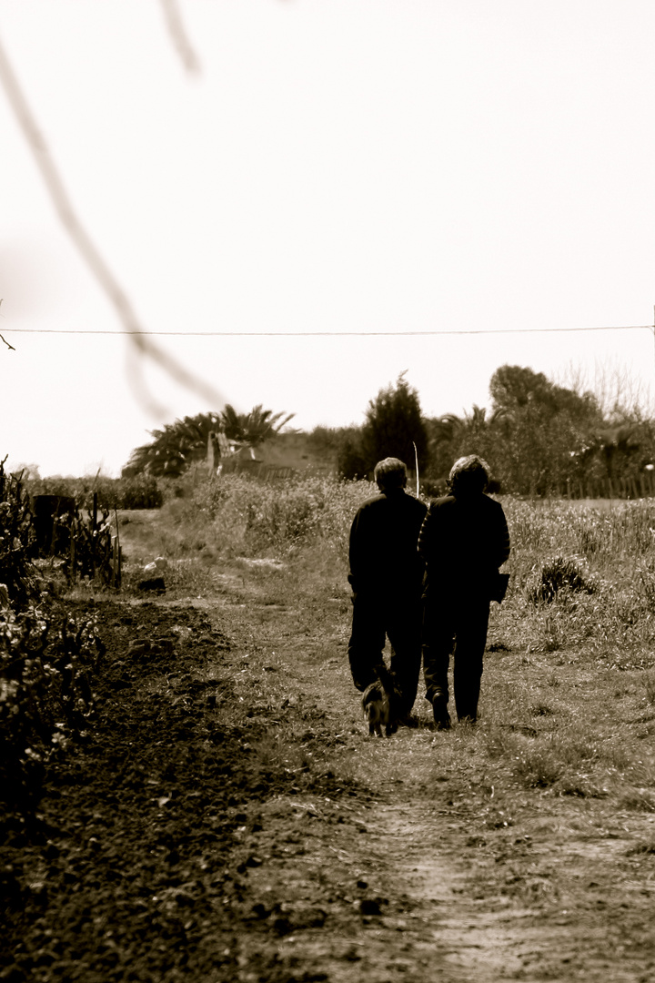 Passeggiata in Campagna