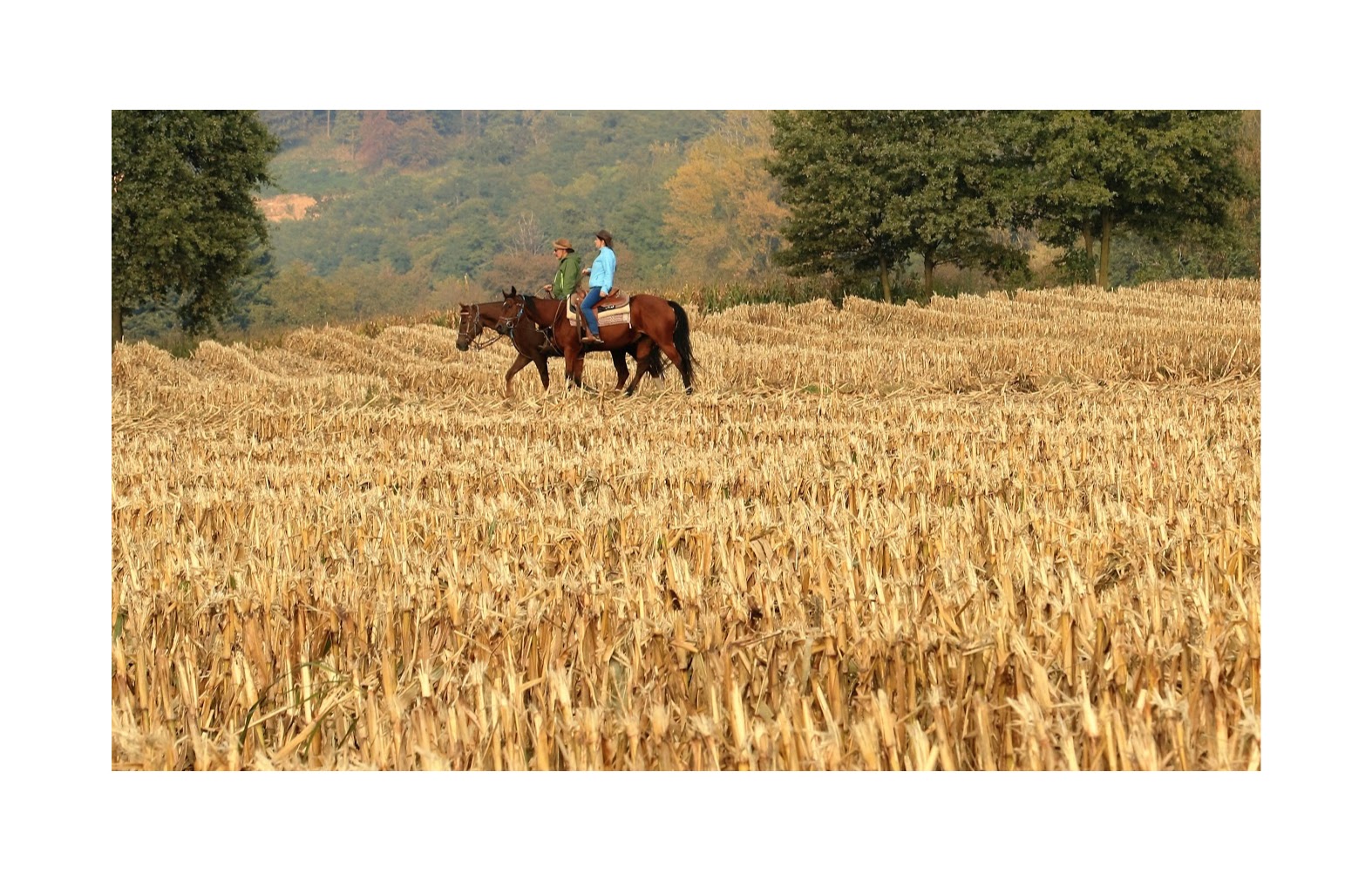 passeggiata in campagna