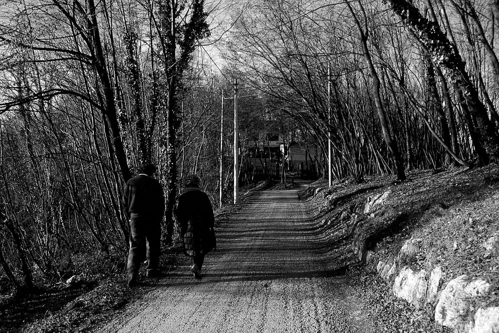 Passeggiata invernale...