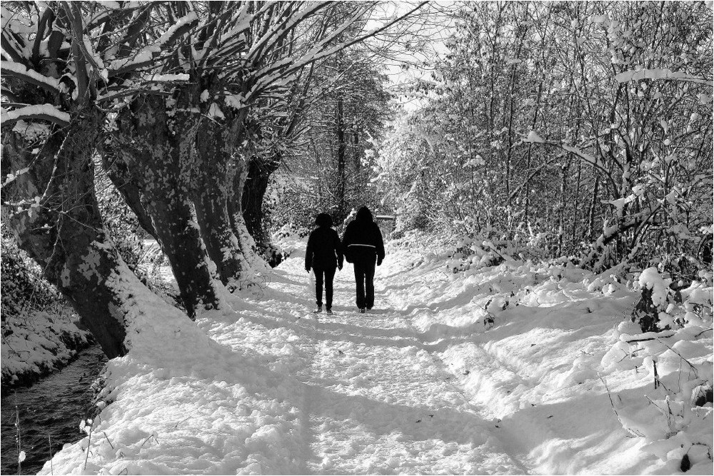 Passeggiata invernale