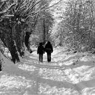 Passeggiata invernale