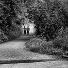 Passeggiata lungo il fiume Adda