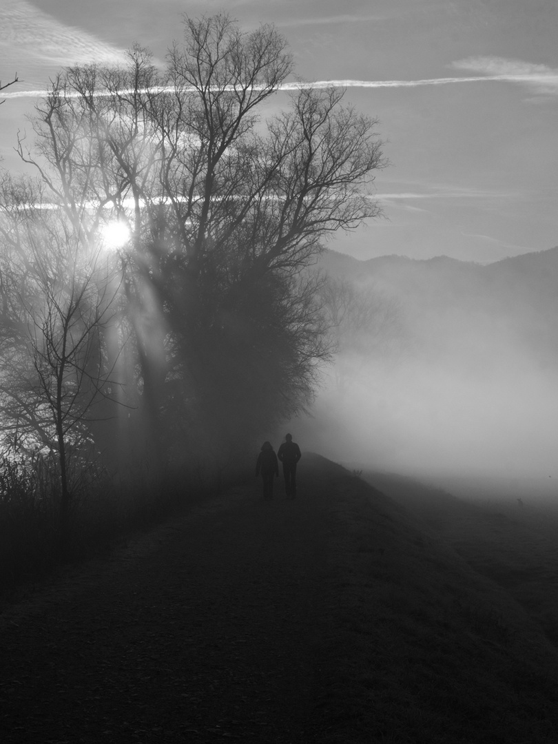 Passeggiata lungo l'Adda