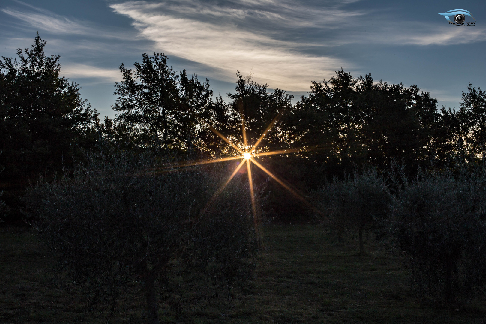 Passeggiata Mattutina