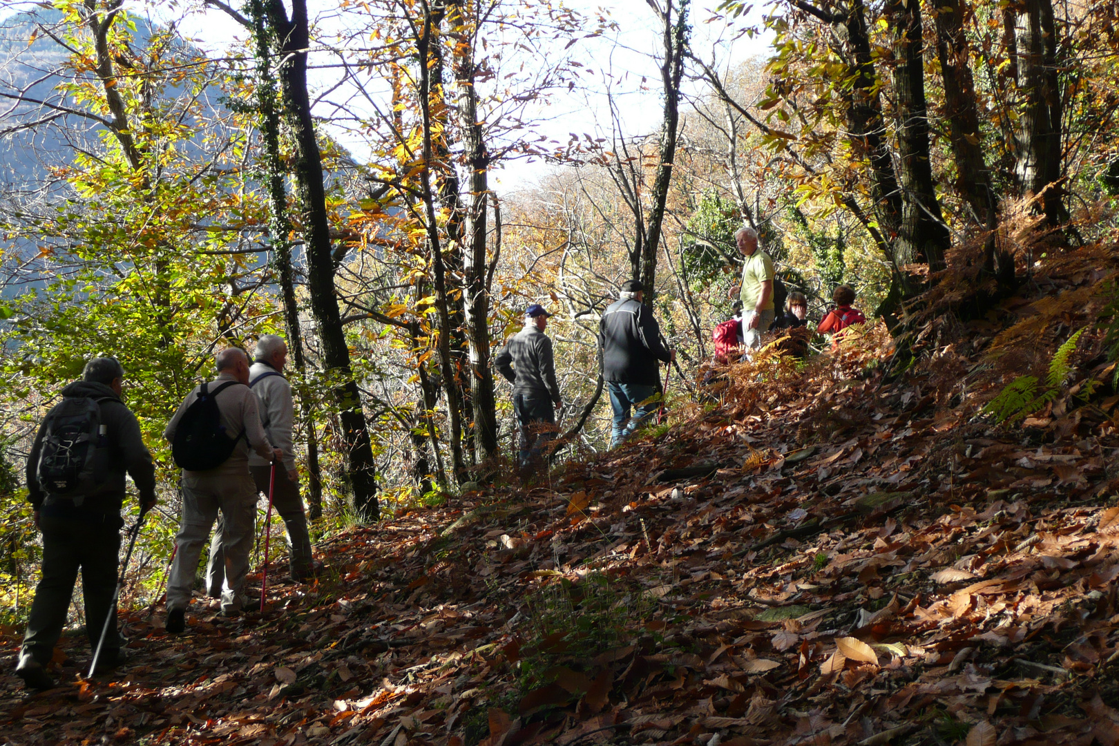 passeggiata nei boschi in gruppo